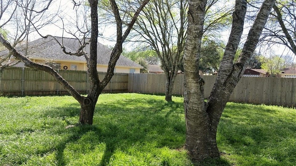 fully fenced park like back yard